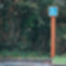 accessibility 1.jpg